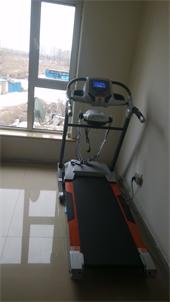 風(fēng)凰新款實(shí)木弓型跑板跑步機(jī)