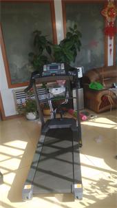 鳳凰跑步機(jī)暢銷款（祥利體育）